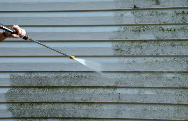 Best Roof Power Washing Services  in Silsbee, TX