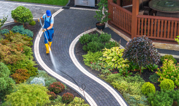 Best Commercial Building Pressure Washing  in Silsbee, TX