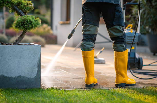 Best Deck Cleaning Services  in Silsbee, TX